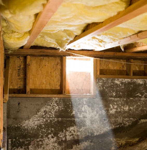 Unfinished room with yellow fiberglass insulation on the ceiling, rough concrete walls, and a small square window letting in light.